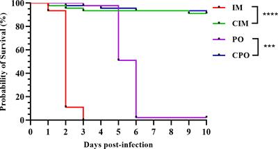 Susceptibility of kuruma shrimp to the infection with Decapod iridescent virus 1